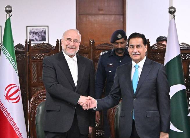 NA speaker invited to martyred Ayatollah Khamenei’s condolence meeting