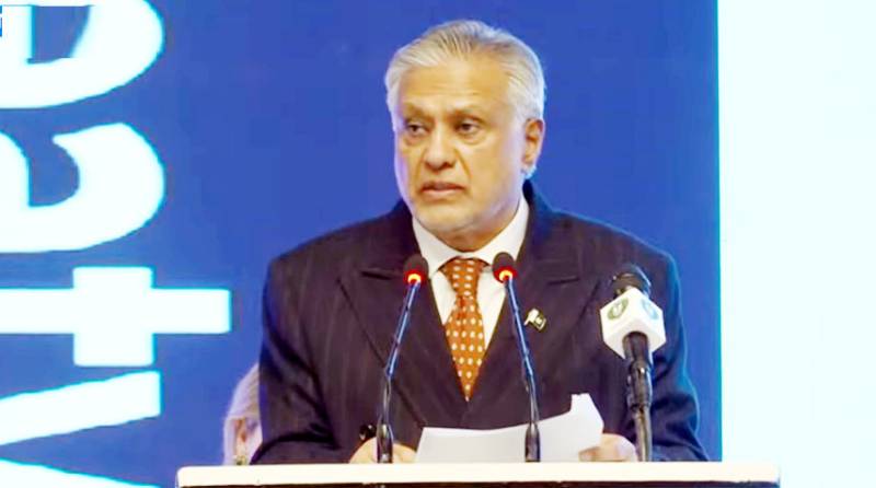 Indus Waters Treaty vital for regional peace, stability: DPM