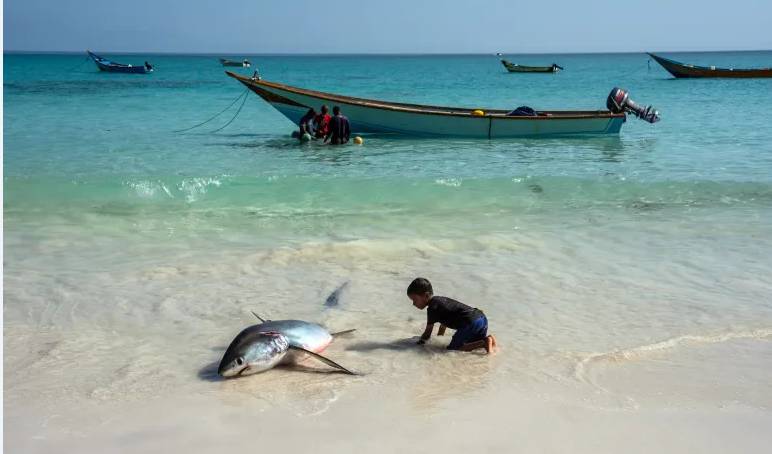 World's oceans break June heat record: EU monitor