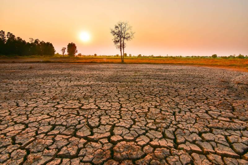 UN warns of extreme weather as El Nino set to be strong
