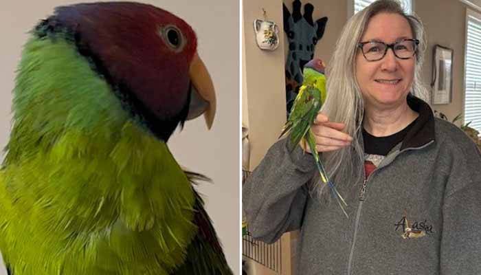 32-year-old talking parrot named world's oldest living pet