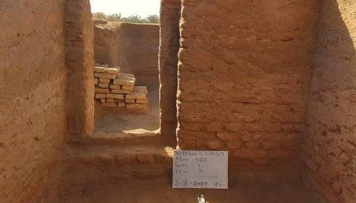 Ancient settlement with church, gold coins and tombs unearthed in Egypt
