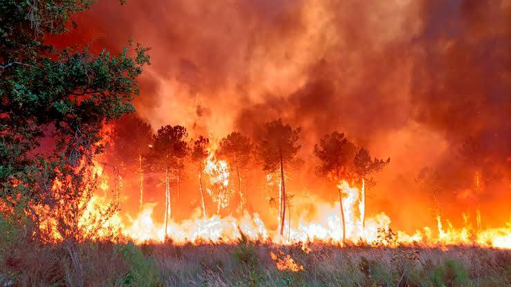 Infernos devastate forests as Europe's temperatures rise again