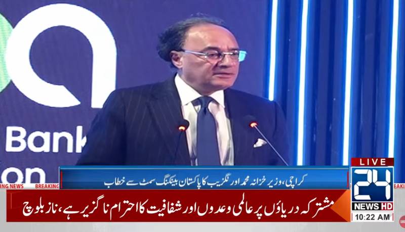 Govt is focused on building a documented economy, says Aurangzeb