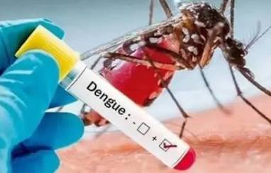 Dengue tally rises to seven with latest confirmed infection