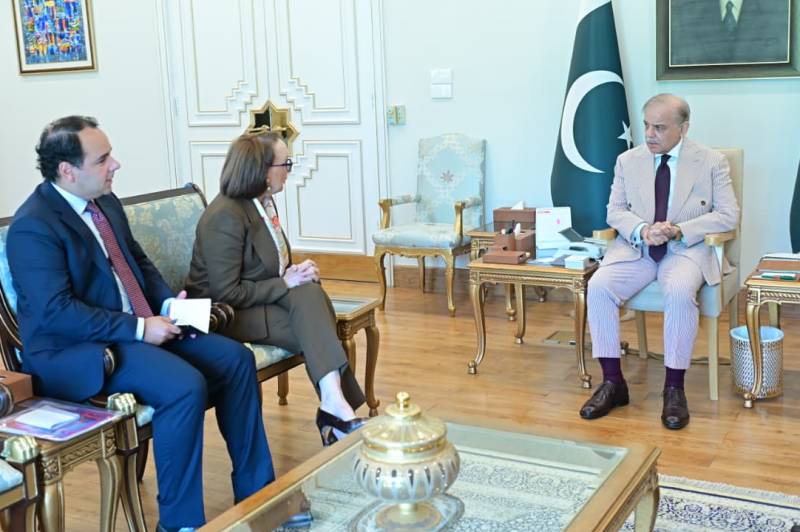 PM Shehbaz stresses UN central role in global affairs