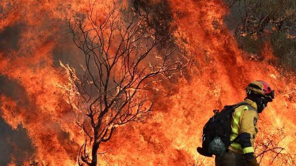 Spain wildfire death toll rises to 12