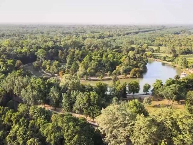 CM Maryam says 41,000 acres barren land transformed into green forests across Punjab