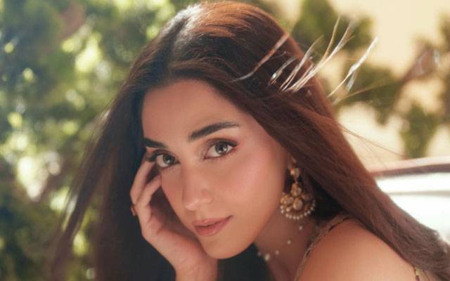 Maya Ali's cryptic instagram story leaves fans wondering