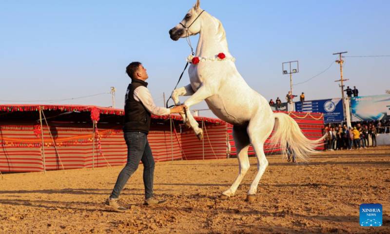 'In our blood': Palestinians keep horse culture alive against all odds