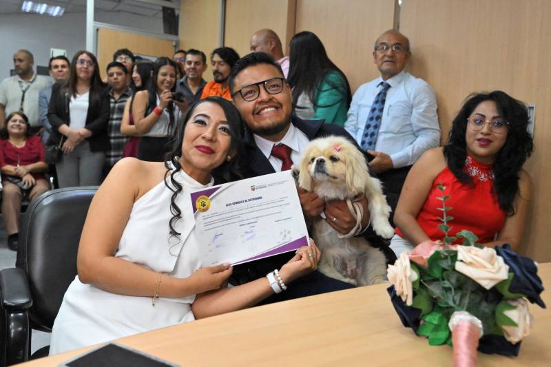 Till death do us bark: Pets serve as witnesses at Ecuador weddings
