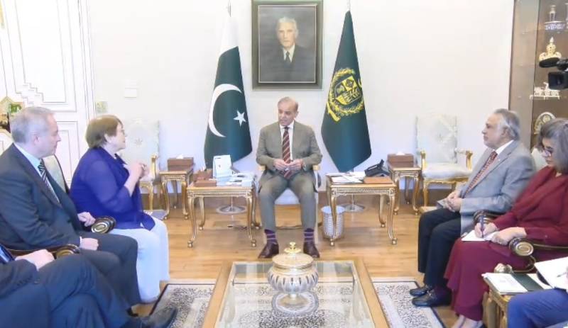 PM Shehbaz meets UN secretary-general candidate Michelle Bachelet