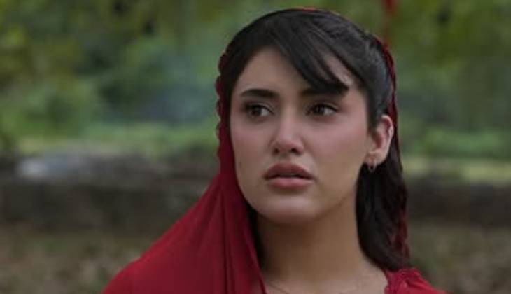 Sahar Hashmi's rapid rise in showbiz creates online debate