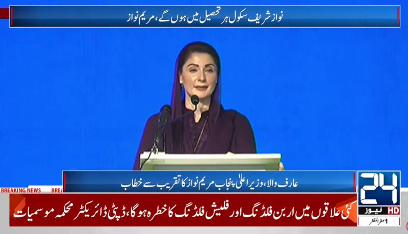 Punjab CM announces setting up Nawaz Sharif Schools of Eminence in all tehsils