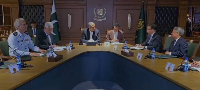 Naqvi meets Chinses delegation, discusses immigration and border management