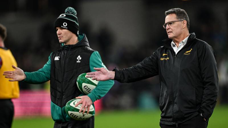 Erasmus calls Springbok victory over Wales a 'grind'