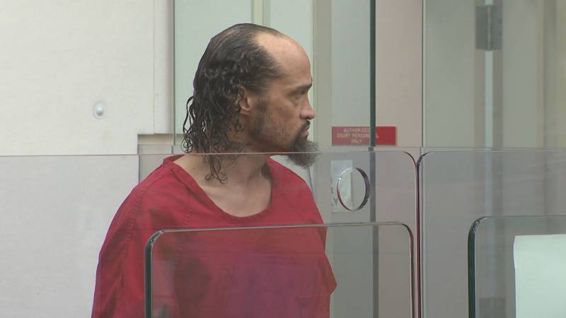 Man arrested over fire in Paris park