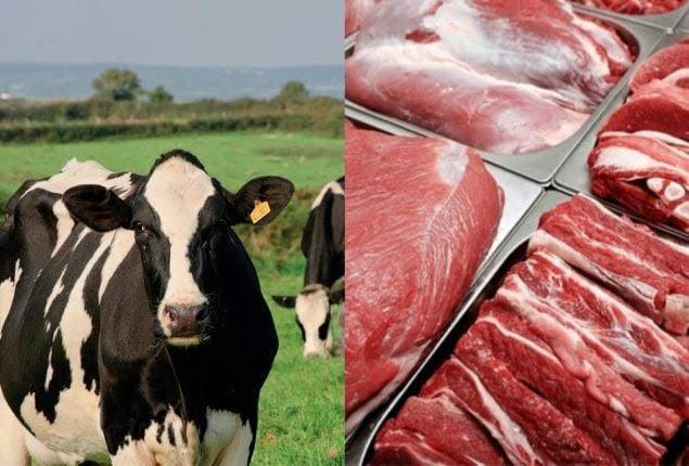 Pakistan and China agree to boost livestock and halal meat exports