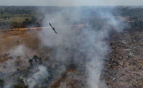 Fires in Brazil's Amazon dropped to historic low in 2025