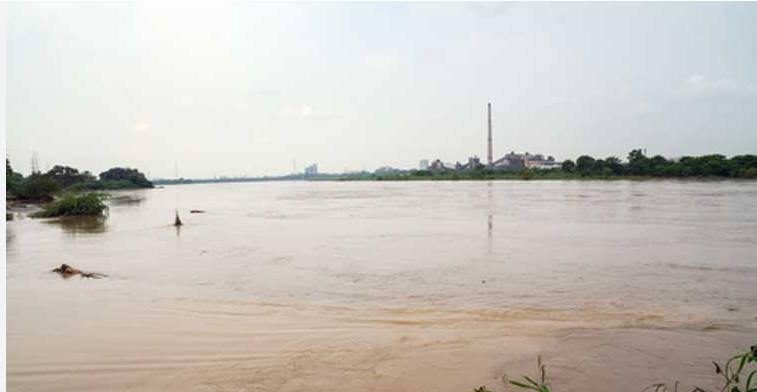 Water flow is normal in most rivers of Punjab: PDMA