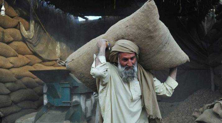 New labour rates enforced Punjab for July to December