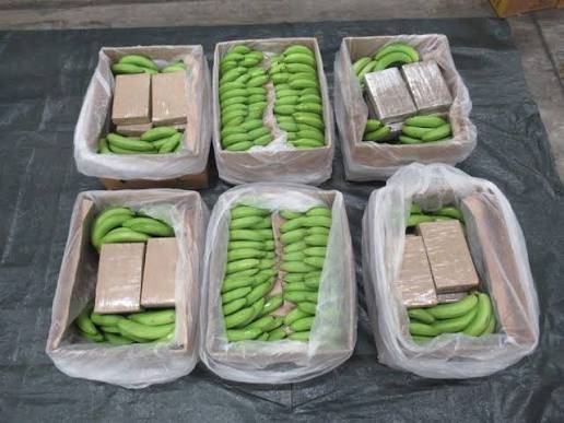 Italy seizes cocaine worth 250m euros in banana shipment