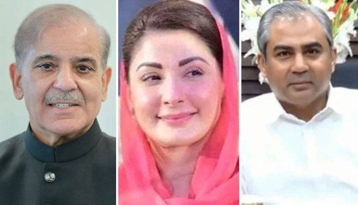 Court acquits PM, Naqvi, Maryam in PTI's Nov 26 protest deaths plea