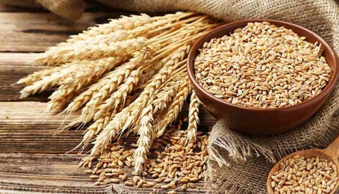Wholesale grocers propose wheat import
