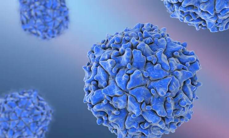 Ratio of samples containing poliovirus drops from 48.1 to 13.1 percent