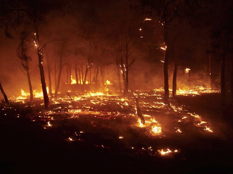 Deadly wildfires force thousands from homes in parts of Europe