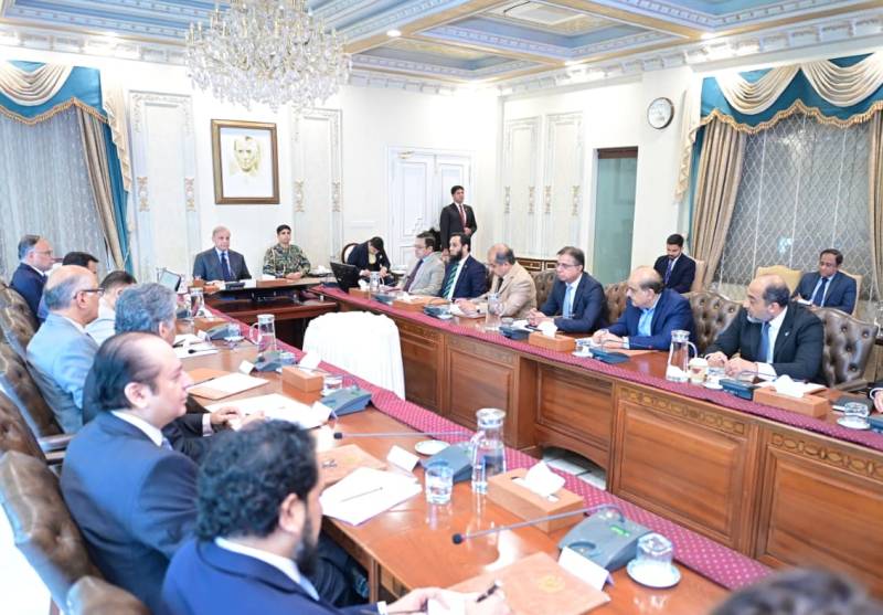 PM Shehbaz for aligning population planning with economic stability