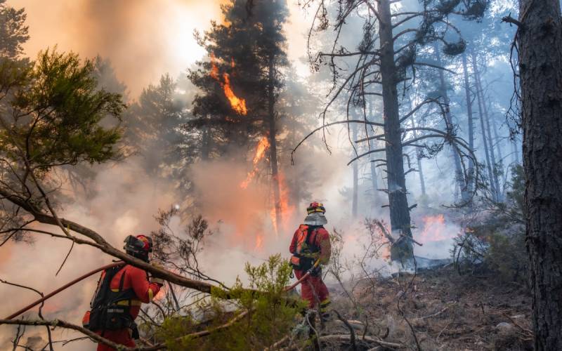Two wildfires merge near Madrid, 19,000 evacuated or confined