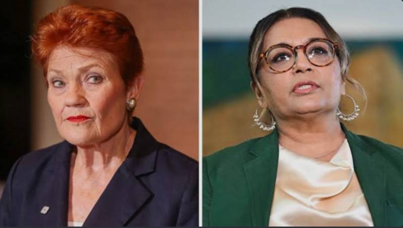 Australian politician loses racism case after telling Muslim senator to go back to Pakistan