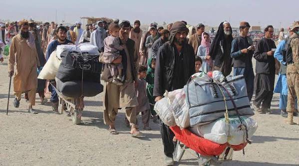 Repatriation of illegal Afghans gains momentum in Lahore