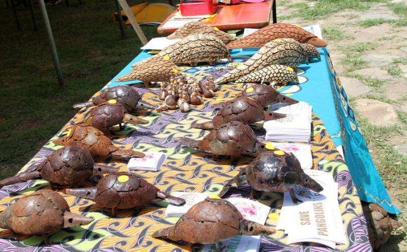 Nigeria deports pangolin scales trafficker to China
