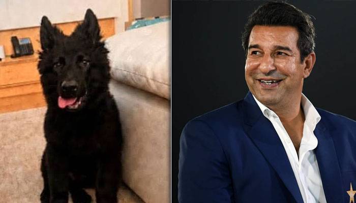 Wasim Akram reunited with missing pet dog after public appeal