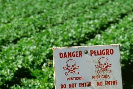 Forever chemicals and pesticides: what to know