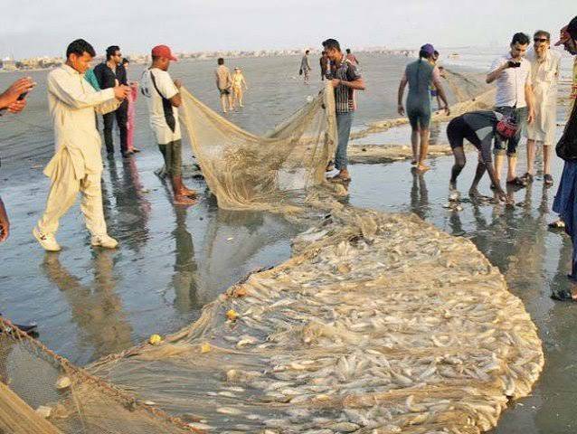 Sindh govt issues alert for fishermen