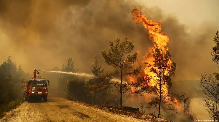 Turkey battles wind-fuelled wildfires on tourist coasts