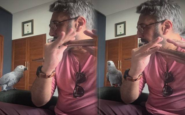Adnan Siddiqui's flute performance gets upstaged by his ‘Adorable Parrot’
