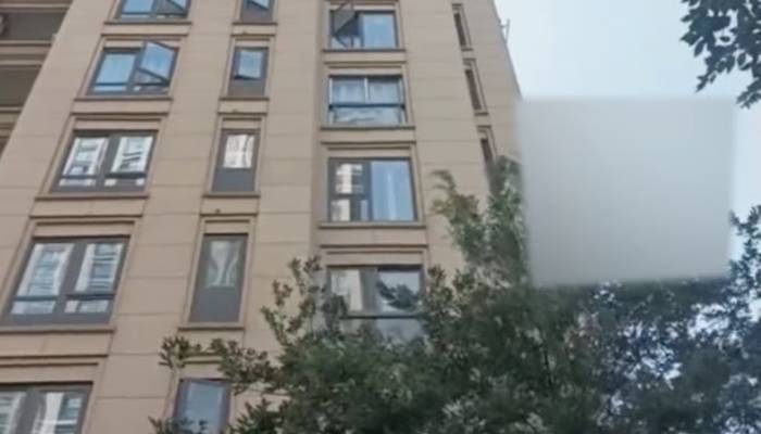 Chinese woman survives fall from 18th floor after landing in tree