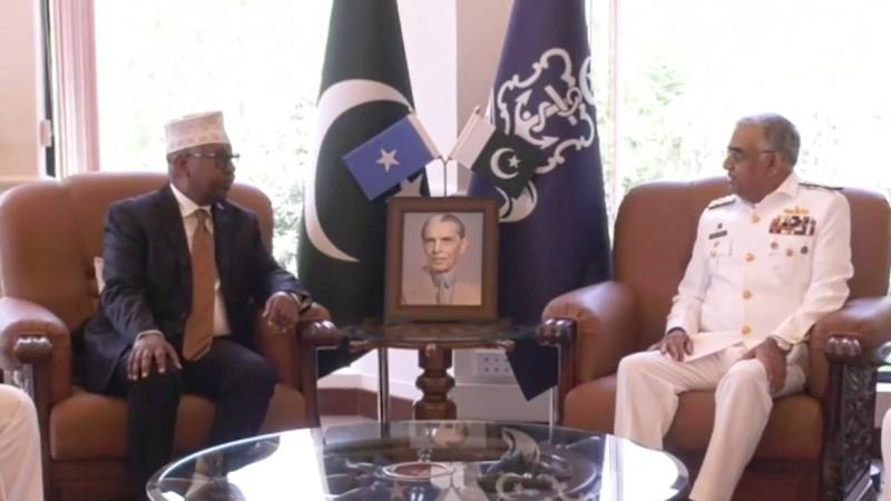 Somali defence minister discusses defence ties with Pakistan's naval, air chiefs