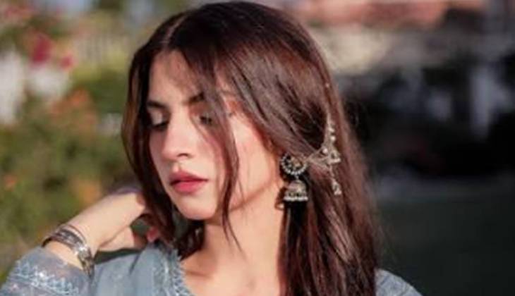 Dananeer Mobeen’s latest Instagram likes leave fans wondering