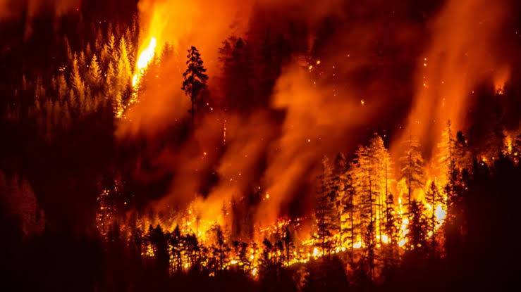 Canada tries to adapt to a future of wildfires