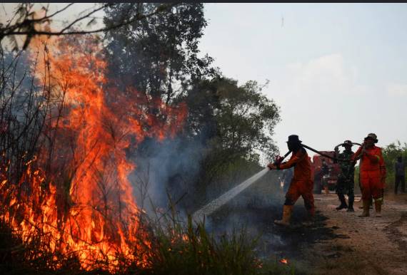 Schools closed as Indonesia battles wildfires