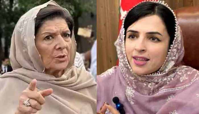 Aleema Khan says she doesn't know who gave Mashal Yousafzai ticket for senatorship