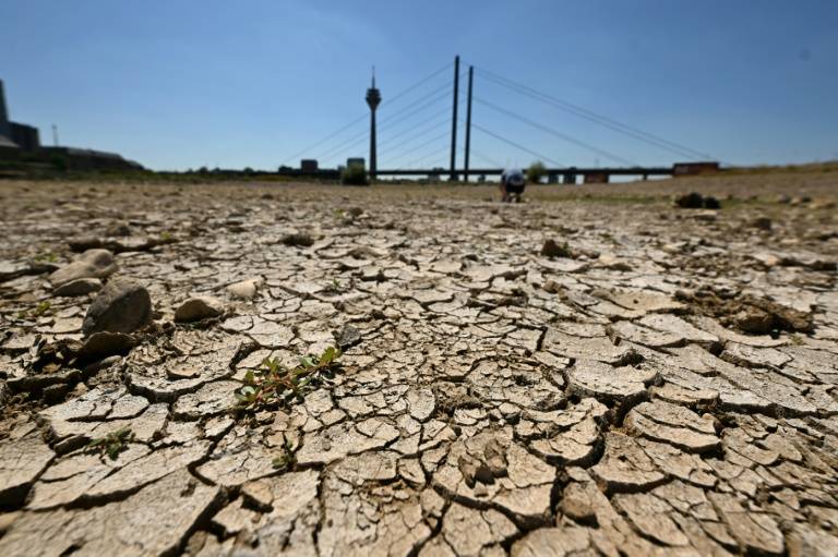 Germany's dry rivers spark battle on engineering vs restoration