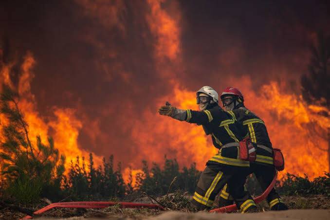 Hundreds evacuated as wildfires spread in Germany, France