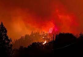 Europe wildfires: Latest developments