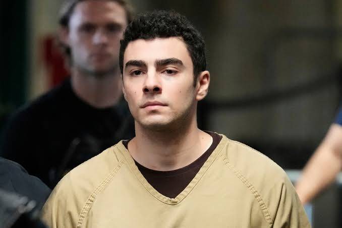 'Normal guy' turned killer over US insurance industry grievances